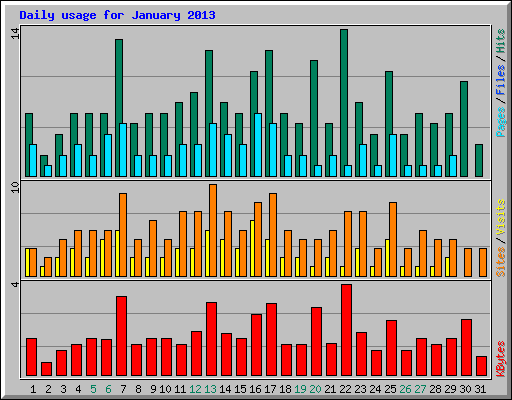 Daily usage for January 2013