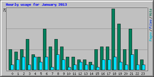 Hourly usage for January 2013